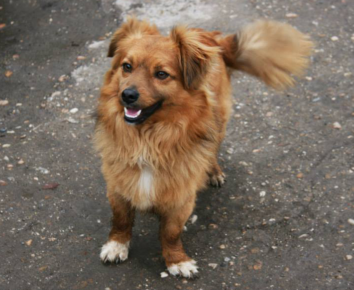 Full service moving reviews