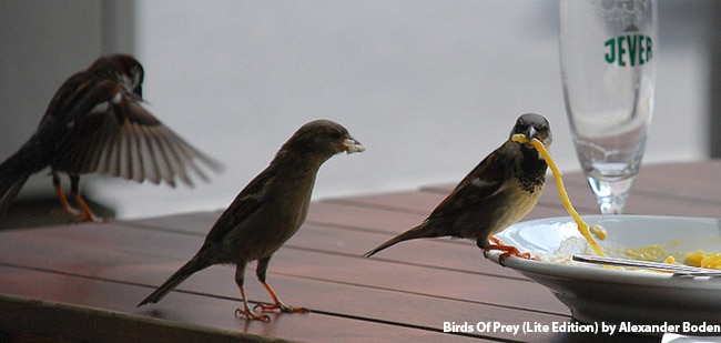 Full service moving cost