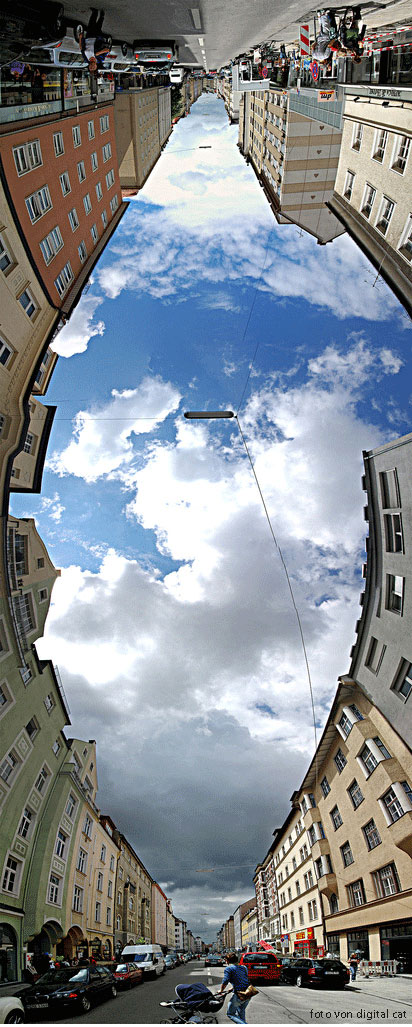 digital-cat-München-Hohenzollernstraße