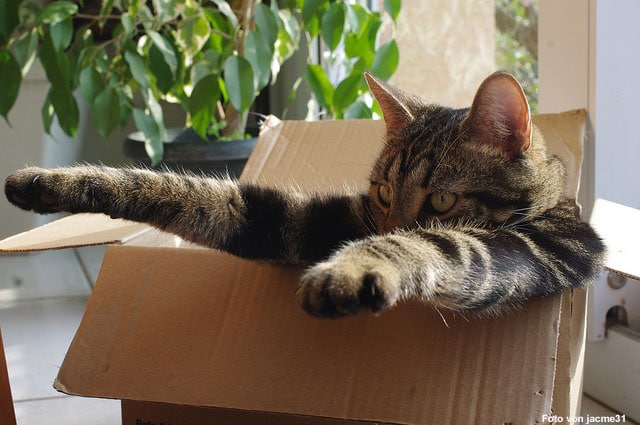 Ways to make moving easier