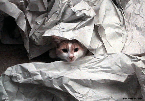 fehler-beim-einpacken