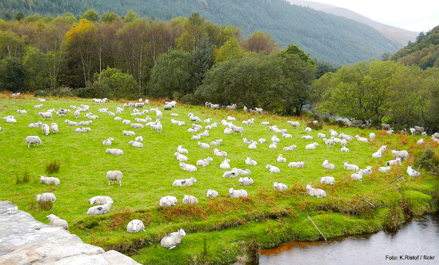 Brockagh, Wicklow, Ireland