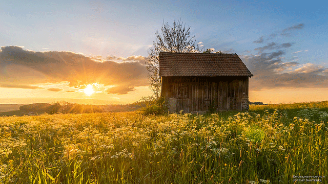 Veveyse District, Canton of Fribourg, Switzerland 