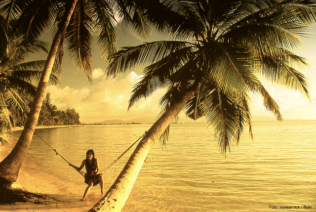 umzug-in-thailand