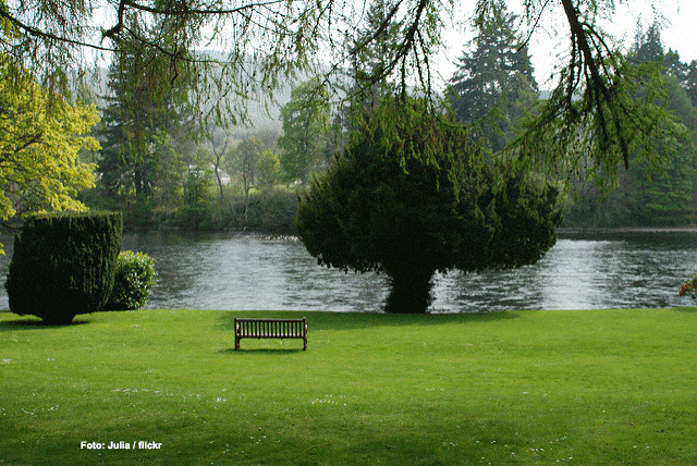 park-umzug