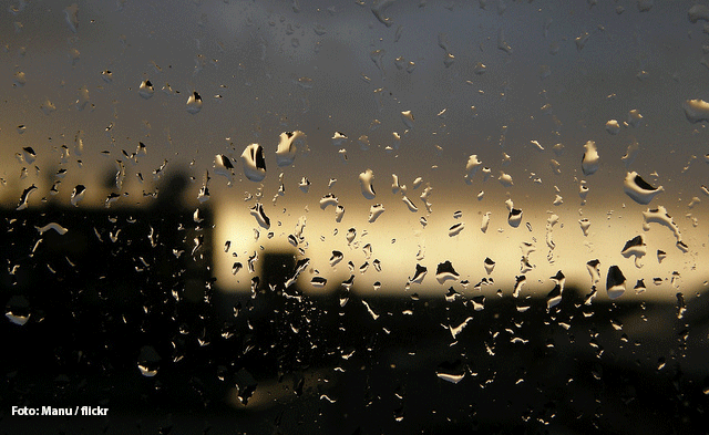 Umzug-bei-Regen