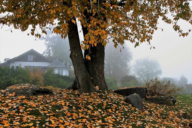 Im Herbst kommen Niederschläge in größerem Umfang vor. Wahrscheinlich auch am Umzugstag kann man von Regen überrascht werden.