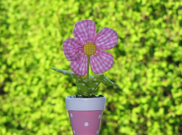Jedes neue Haus braucht Blumen, um den Raum zu beleben und natürliche Schönheit und Charme in das Ambiente zu bringen.